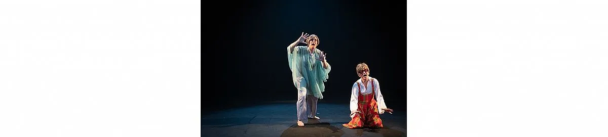 פוסטר ההצגה הגבירה מאבו דיס