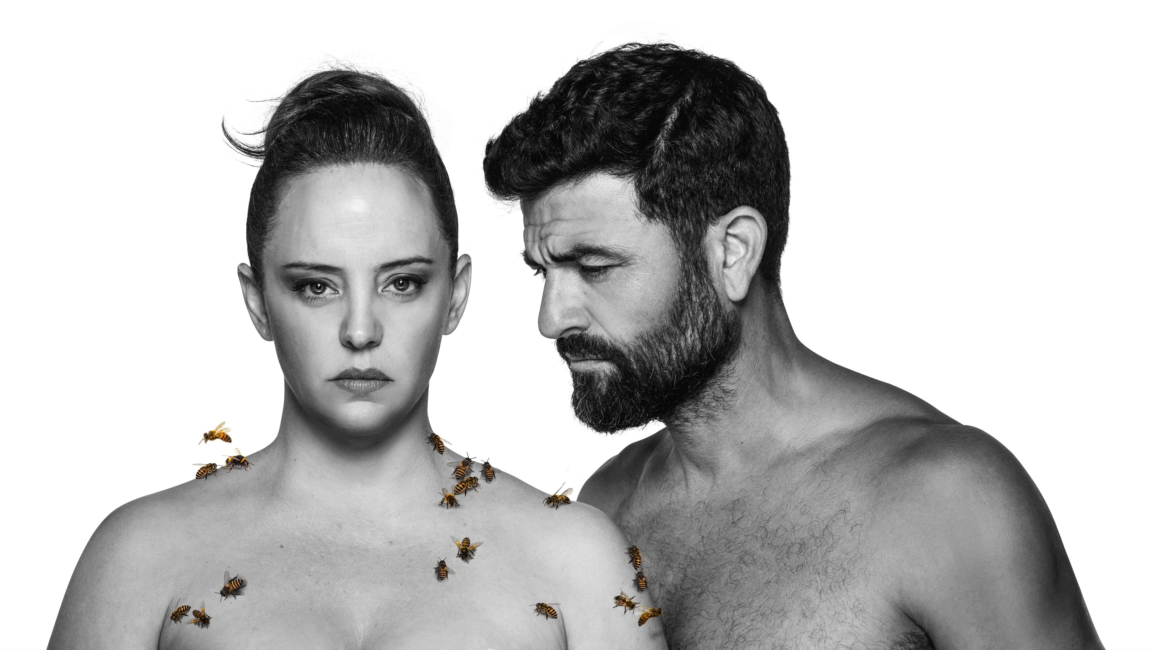 פוסטר ההצגה מדיאה