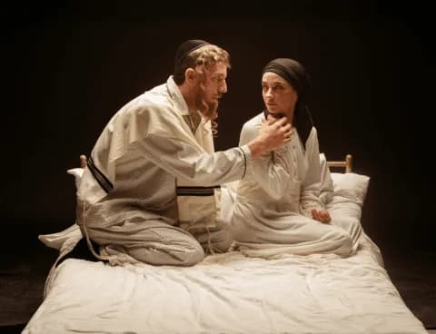 פוסטר ההצגה פינק ליידי