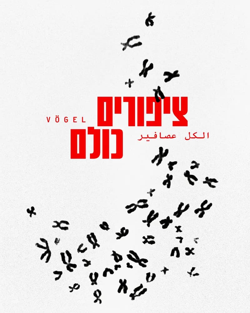 פוסטר ההצגה ציפורים כולם – אירוע מיוחד ל 50 הצגות !